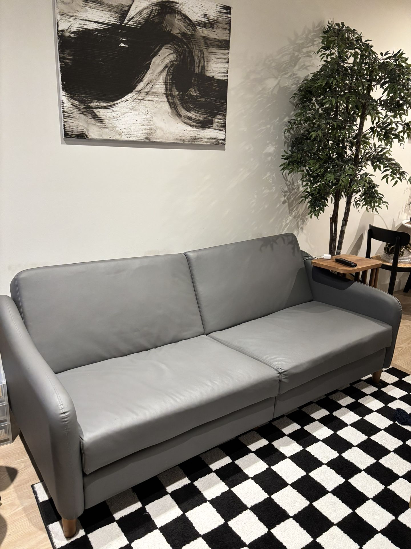 Sleeper sofa / couch