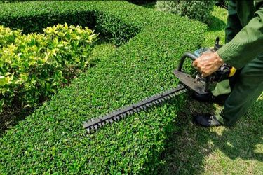 Trim bushes , pull weeds