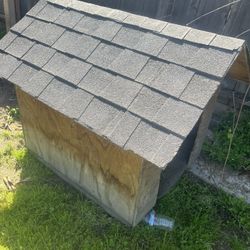 Dog House 