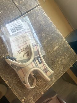 Small Dog Harness