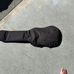 Electric Guitar Gig Bag.