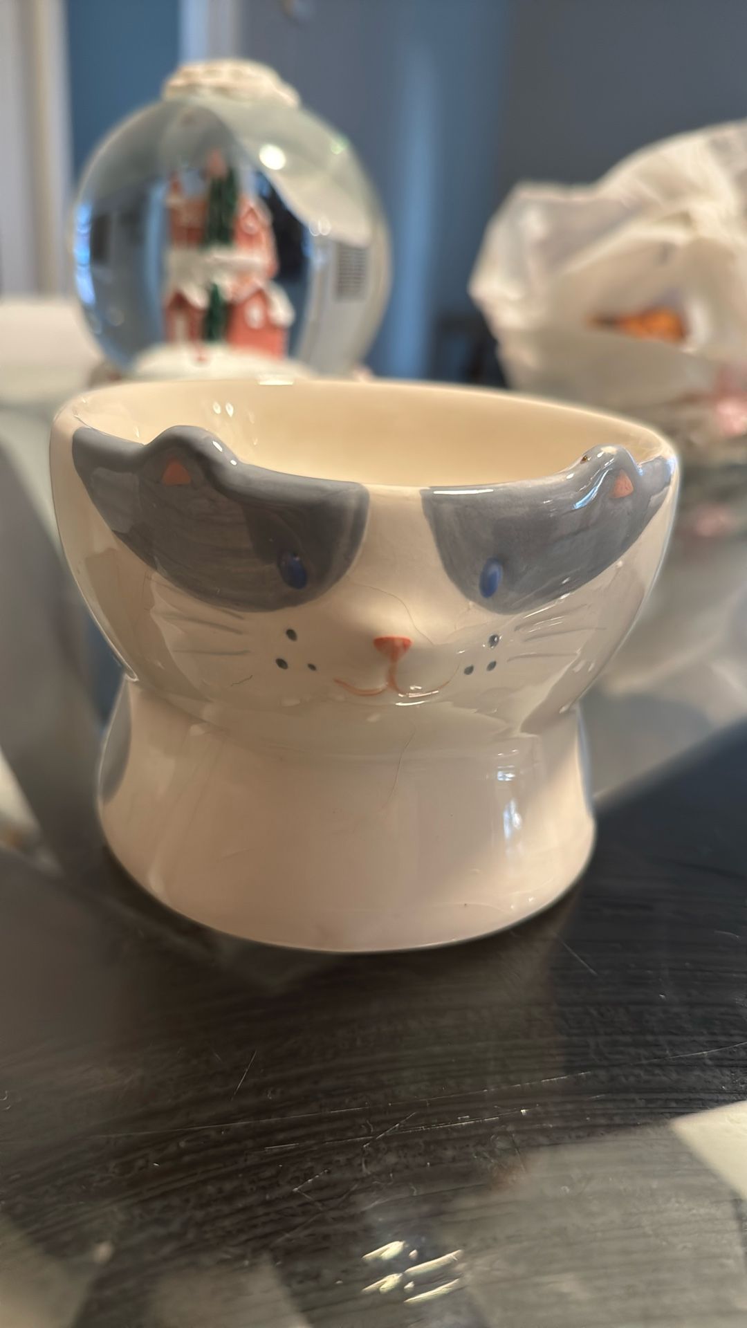 Cat Bowl