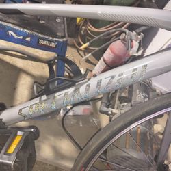 Specialized Bike
