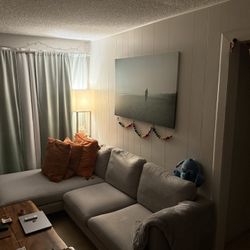 Tana Chaise Sectional Sofa 