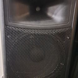 2 speaker 15 Passive technical pro