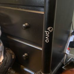 Pivo Camera 