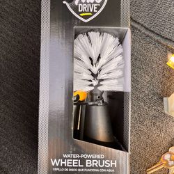 Auto Drive Wheel Brush 
