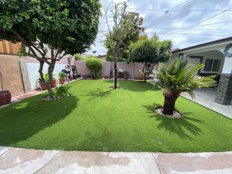 Turf