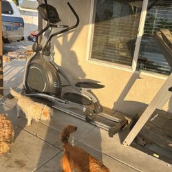 Exercise Elliptical 
