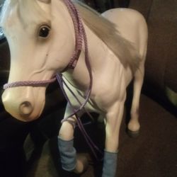 Horse 🐎 For Declaration