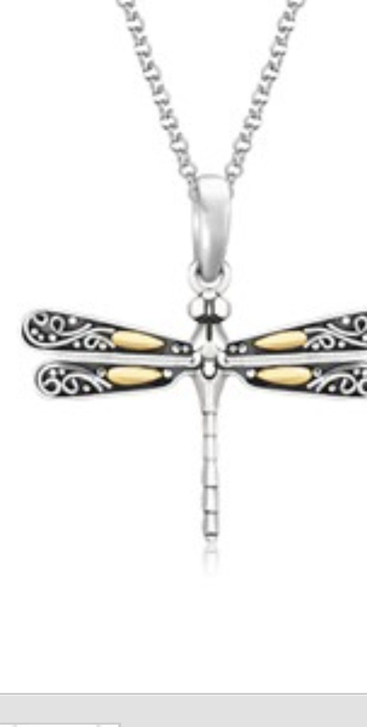 Dragon fly pendant.