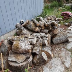  Oak Firewood 