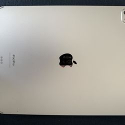 1tb iPad Pro - WiFi + Cellular