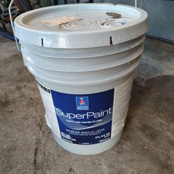 Super Paint Int 5 Gallon