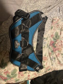 Bolux Caring For Animals Large Dog Harness 