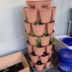 Greenstalk Vertical Planter