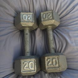 20 Pound Dumbbells 