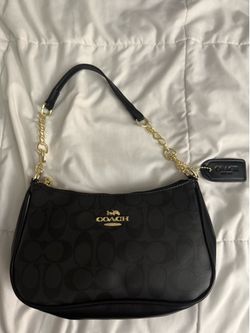 Coach Teri purse handbag