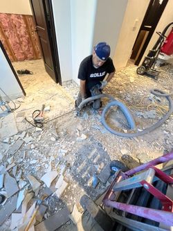 Interior/flooring demo