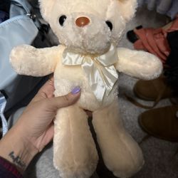 Cute Small Teddy