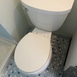 Kohler Toilet 