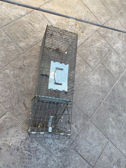 Animal trap
