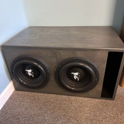 Adire Audio Brahma 10’s & Enclosure