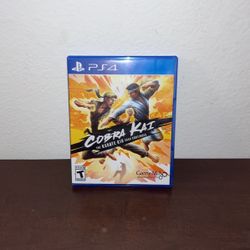 Cobra Kai The Karate Kid Saga Continues