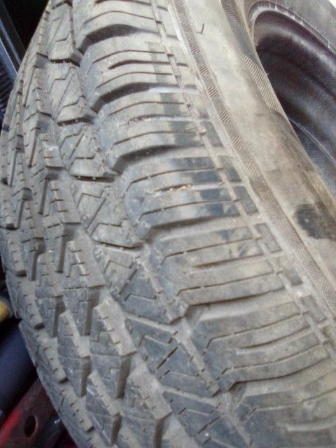 15 Inch Tire