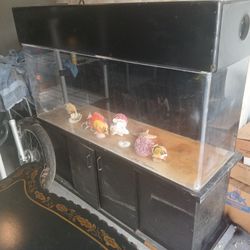 Custom acrylic 120 gal fish tank.