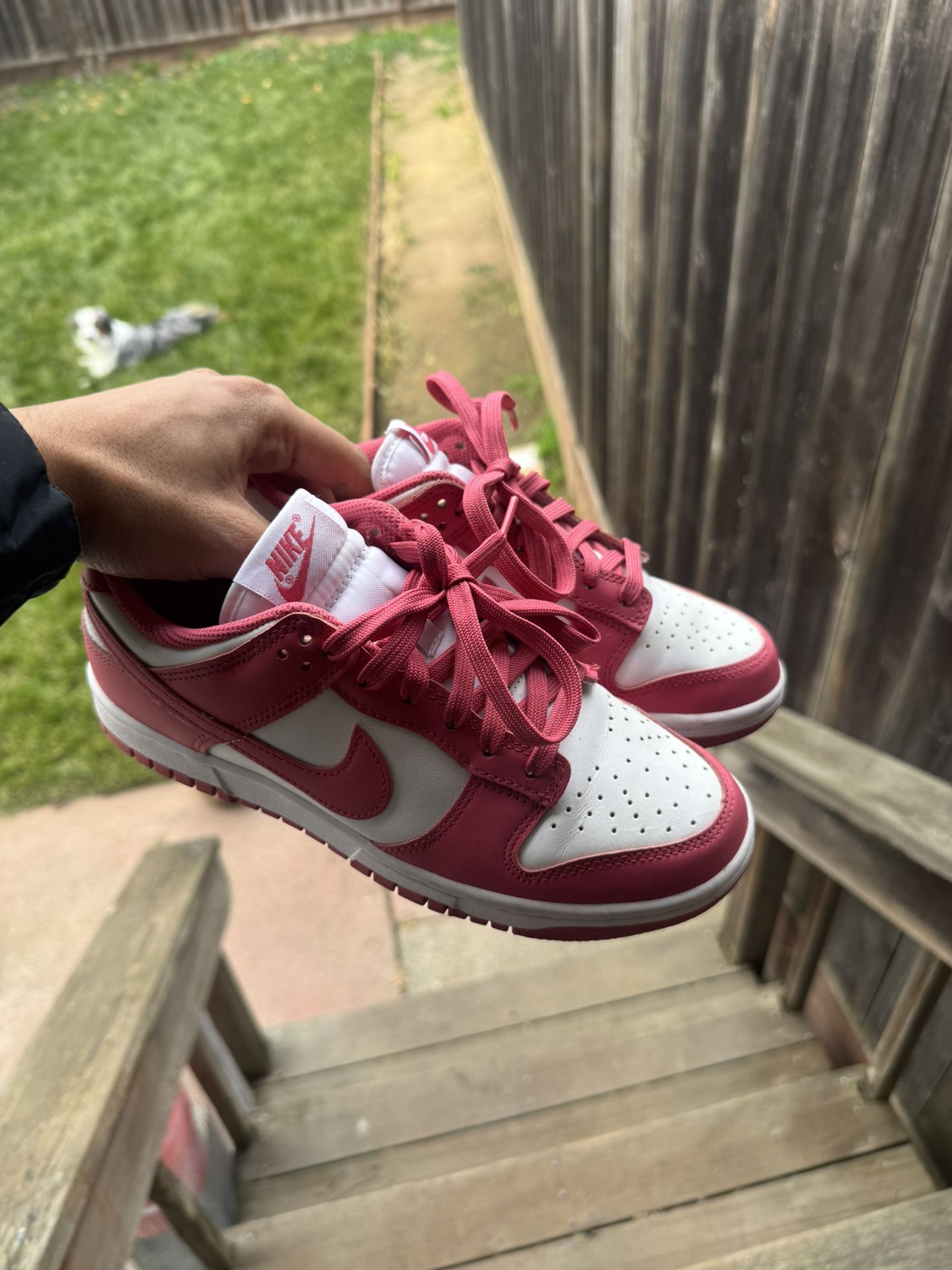 Women’s Nike Dunks