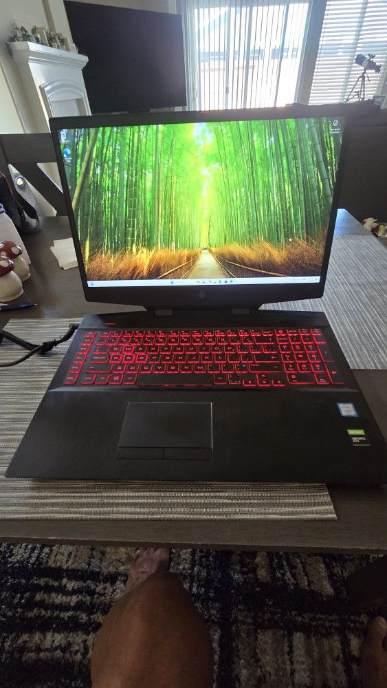 HP Omen 17" Gaming Laptop