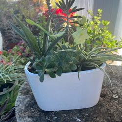 4”x7” Ceramic Planter