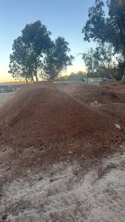 Horse manure
