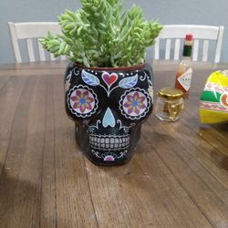 Skull  Planter 
