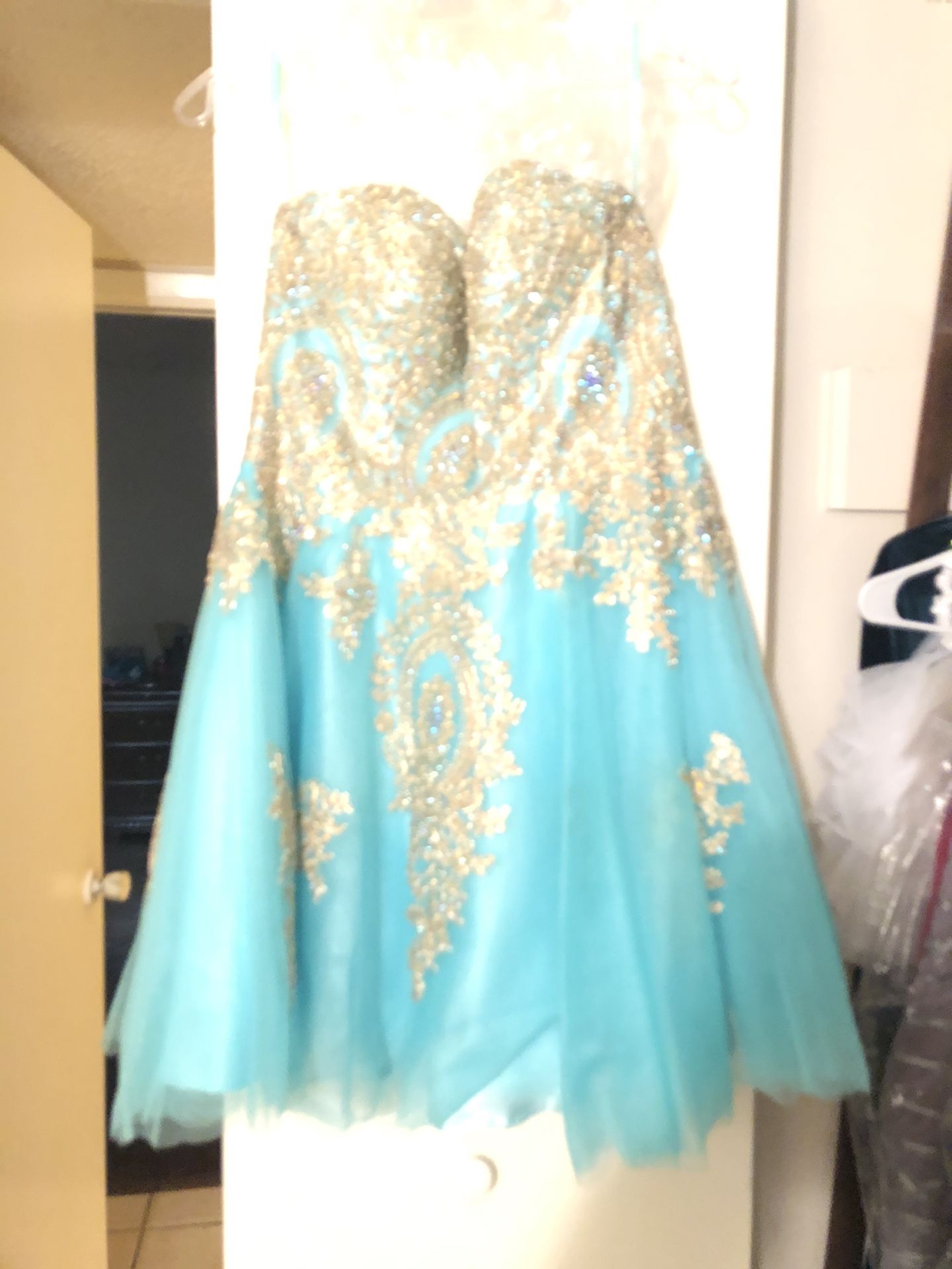 Quinceañera / After 5 Dress