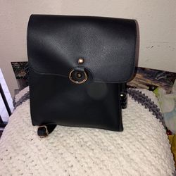 LD backpack