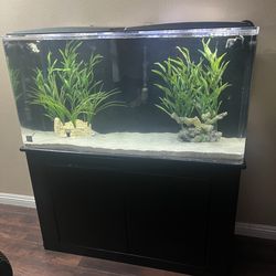 80 gallon Clear for Life acrylic aquarium