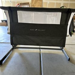 Baby Delight Bassinet 