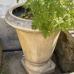 Flower Pots 36" H