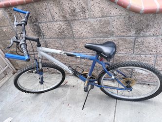 Bicycle adult