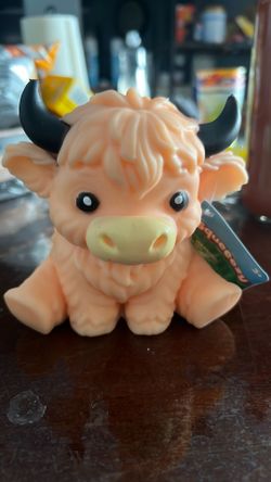 Highland cow
