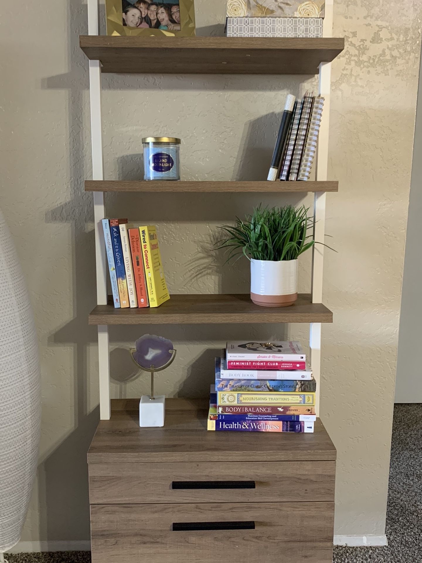 Modern Chic Ladder Shelf Industrial Bookcase