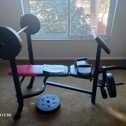 Weider Weight Bench With Set Of Perfect Push UPS
