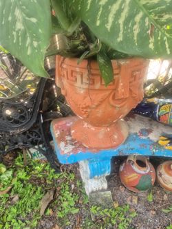 Pots
