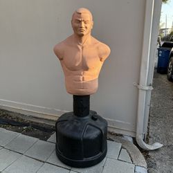 Century Bob Torso Training Bag