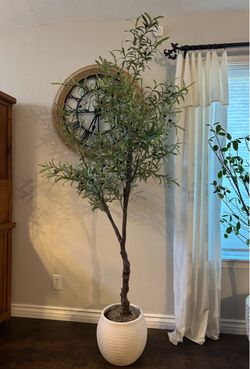 7ft. Faux Olive Tree in White Textured Pot