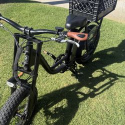 Rad Runner 2 Plus 🖤🚲