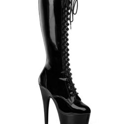 Pleaser Boots 