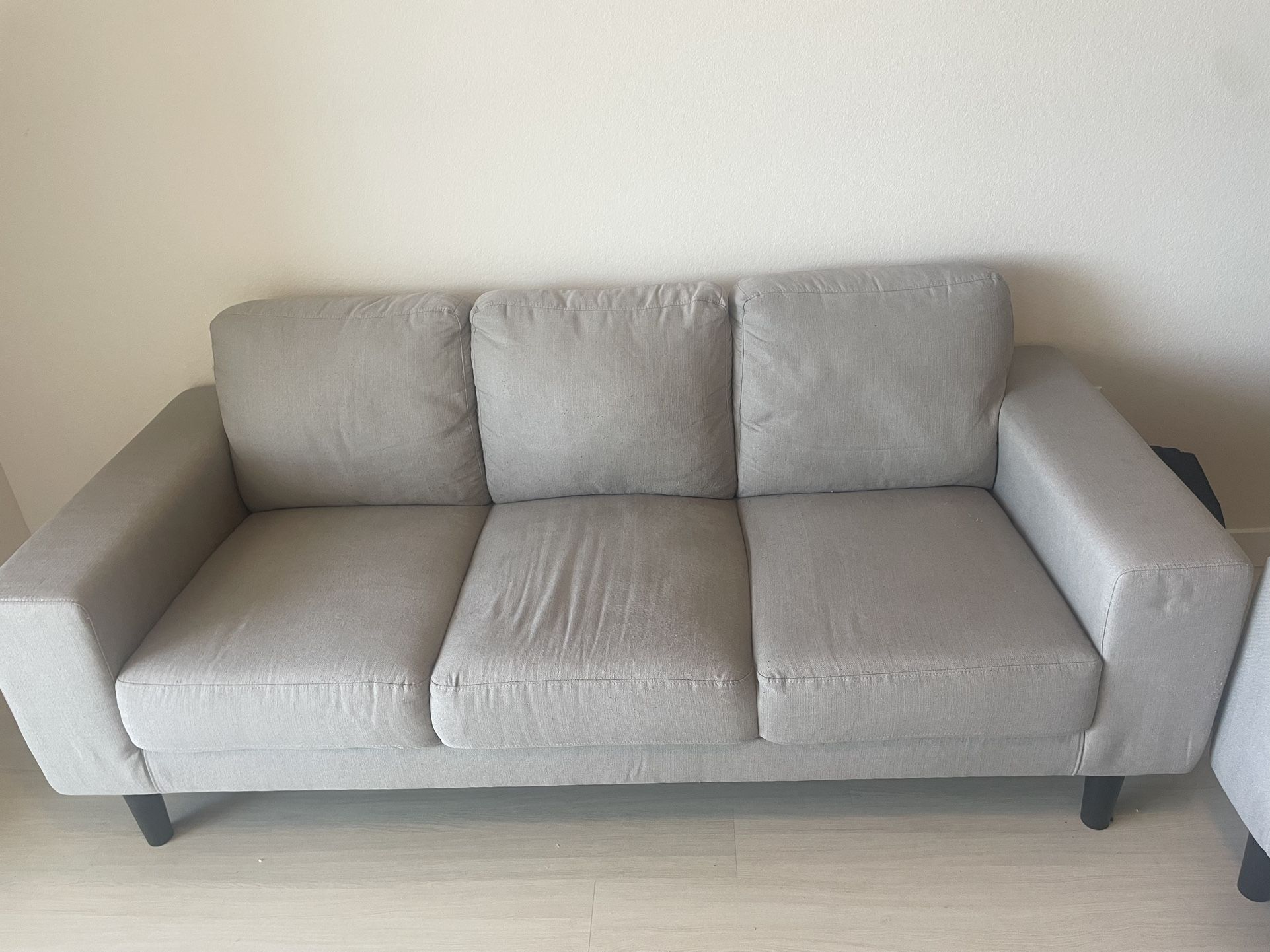 2 Gray Sofas